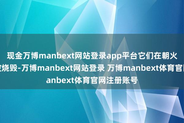 现金万博manbext网站登录app平台它们在朝火中更容易被烧毁-万博manbext网站登录 万博manbext体育官网注册账号